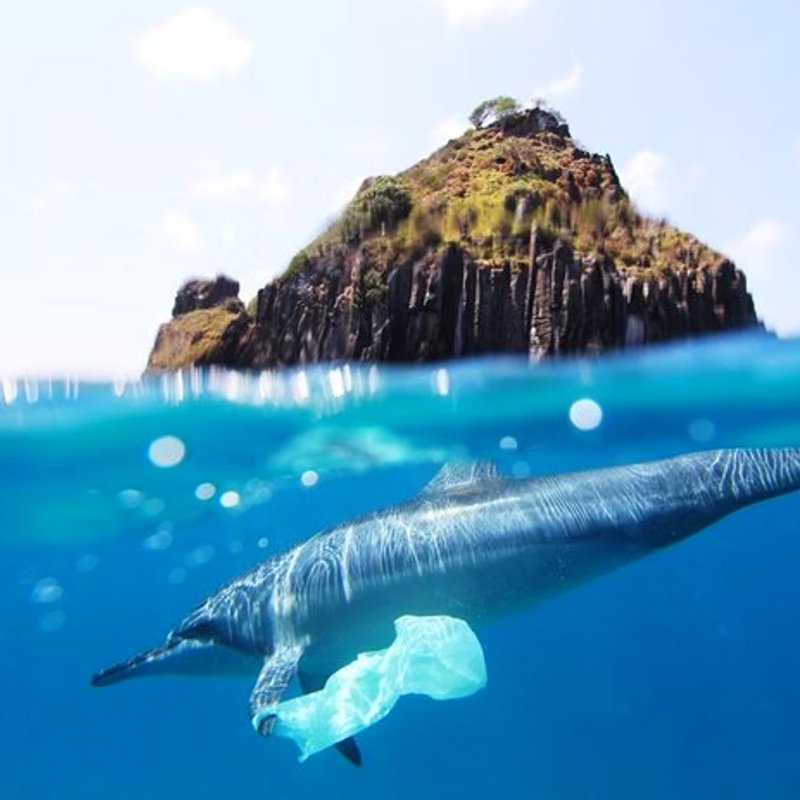 SIMPEA-boxes_homepage_panorama